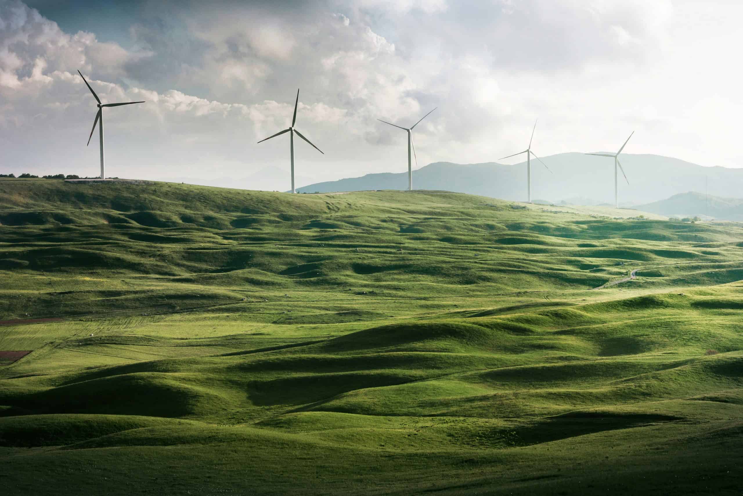 Finding Sustainability Experts for Today’s Eco-Conscious Consumers