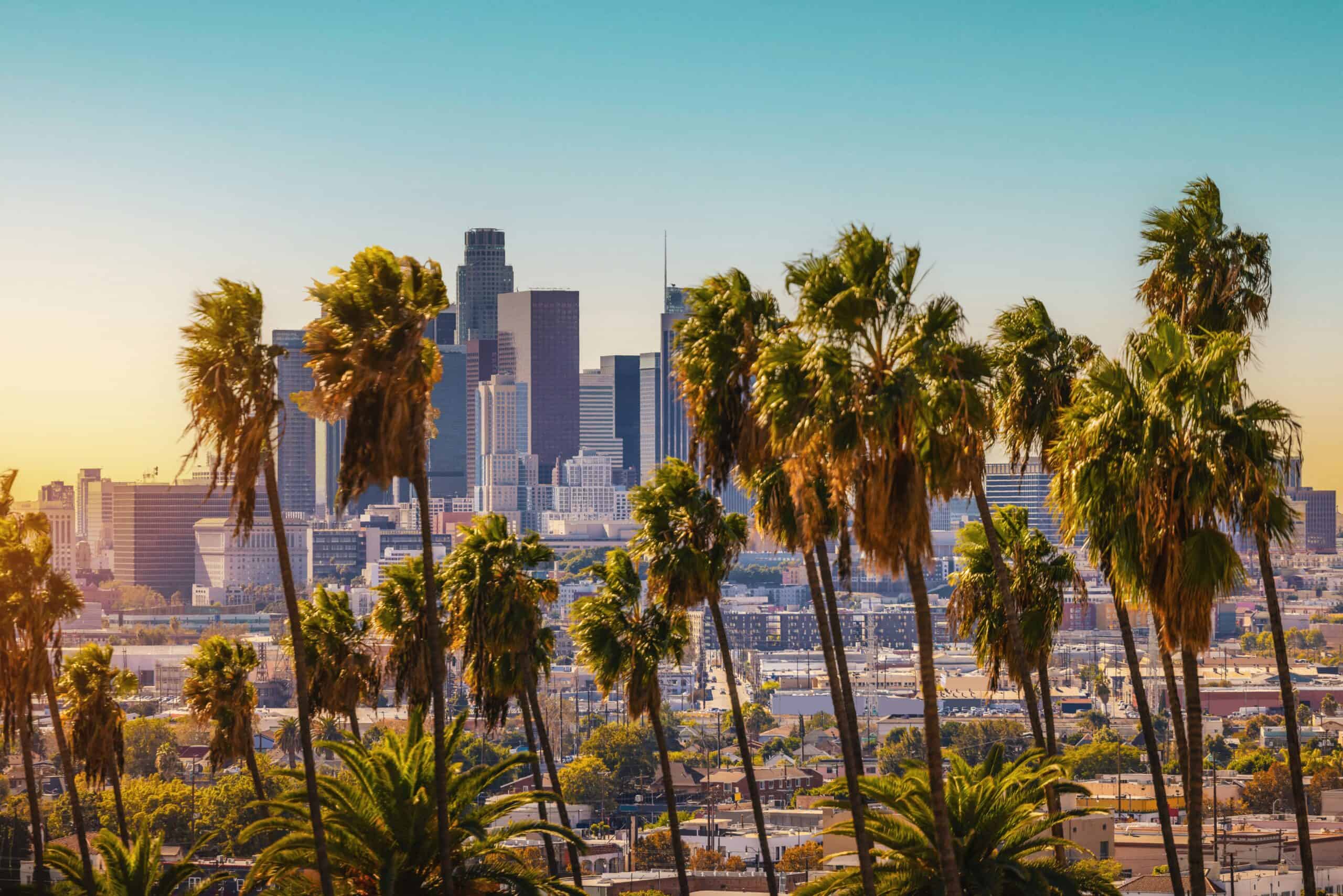 Los Angeles skyline with palm trees, representing LA as a major U.S. fashion hiring market beyond New York